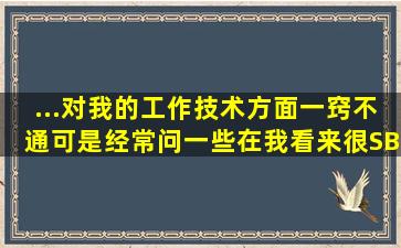 ...对我的工作技术方面一窍不通,可是经常问一些在我看来很SB的问题,...