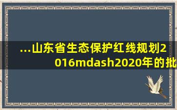 ...山东省生态保护红线规划(2016—2020年)的批复鲁政字2016173号...