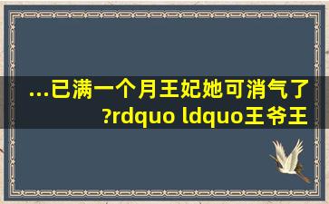 ...已满一个月,王妃她可消气了?” “王爷,王妃,她改嫁了!”什么小说?