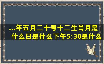 ...年五月二十号十二生肖月是什么、日是什么、下午5:30是什么生肖