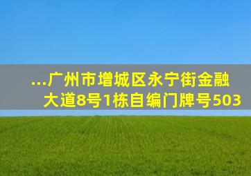 ...广州市增城区永宁街金融大道8号1栋自编门牌号503