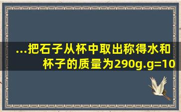 ...把石子从杯中取出,称得水和杯子的质量为290g.(g=10N/kg,ρ 水...