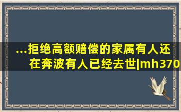 ...拒绝高额赔偿的家属,有人还在奔波,有人已经去世|mh370