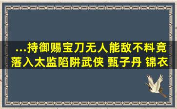 ...持御赐宝刀无人能敌,不料竟落入太监陷阱武侠 甄子丹 锦衣卫...