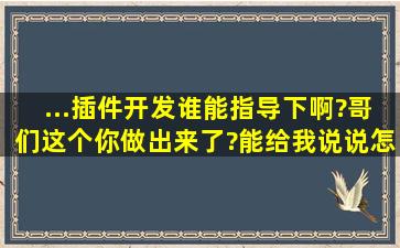 ...插件开发,谁能指导下啊?哥们,这个你做出来了?能给我说说怎么做的么?