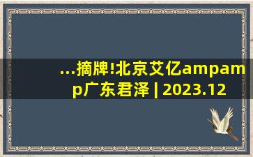 ...摘牌!北京艾亿&广东君泽 | 2023.12.31监管管理水平