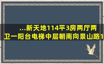 ...新天地114平3房两厅两卫一阳台,电梯中层,朝南向,,景山路105号...