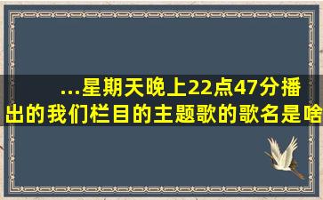 ...星期天晚上22点47分播出的《我们》栏目的主题歌的歌名是啥呀???