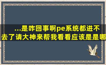 ...是咋回事啊,pe系统都进不去了请大神来帮我看看,应该是是哪里的问题?