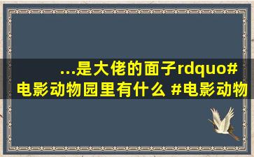 ...是大佬的面子”#电影动物园里有什么 #电影动物园网播定档 #...