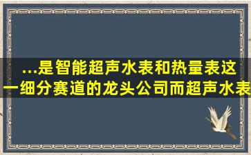 ...是智能超声水表和热量表这一细分赛道的龙头公司,而超声水表增速...