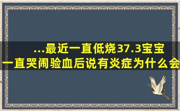 ...最近一直低烧37.3,宝宝一直哭闹,验血后说有炎症,为什么会一直低烧,...