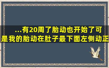 ...有20周了胎动也开始了可是我的胎动在肚子最下面左侧动正常吗(