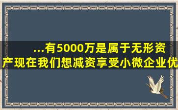 ...有5000万是属于无形资产,现在我们想减资,享受小微企业优惠政策...