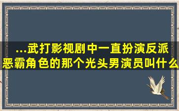 ...武打影视剧中一直扮演反派恶霸角色的那个光头男演员叫什么名字?