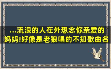 ...流浪的人在外想念你亲爱的妈妈!好像是老狼唱的(不知歌曲名叫什么(