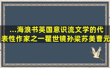 ...海浪书英国意识流文学的代表性作家之一瞿世镜孙梁苏美曹元勇译NJSN...