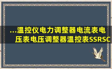 ...温控仪,电力调整器,电流表,电压表,电压调整器,温控表,SSR,SCR...