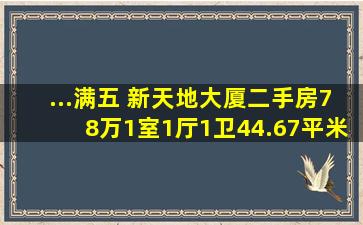 ...满五 ,新天地大厦二手房,78万,1室1厅,1卫,44.67平米