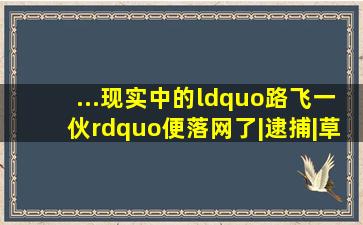 ...现实中的“路飞一伙”便落网了|逮捕|草帽|香克斯|海贼王话