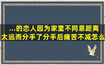 ...的恋人,因为家里不同意,距离太远,而分手了。分手后痛苦不减,怎么办?