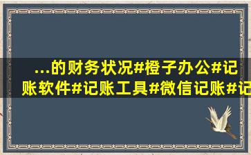 ...的财务状况。#橙子办公#记账软件#记账工具#微信记账#记账APP...