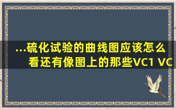 ...硫化试验的曲线图应该怎么看。还有像图上的那些VC1 VC2 ts1 ts2 ...