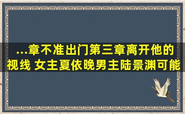 ...章不准出门第三章离开他的视线 女主夏依晚男主陆景渊可能是陆亦渊?