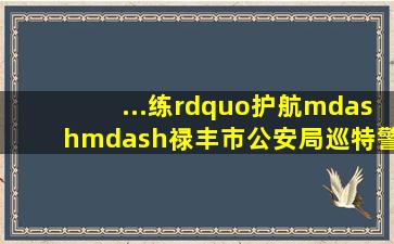 ...练”护航——禄丰市公安局巡特警大队开展“沉浸式”反恐防暴演练