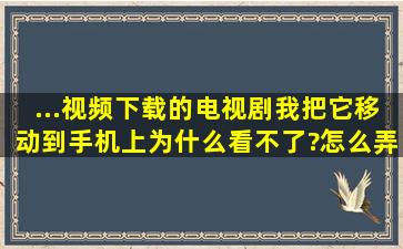 ...视频下载的电视剧,我把它移动到手机上,为什么看不了?怎么弄才能看?