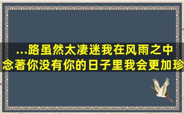 ...路虽然太凄迷我在风雨之中念著你没有你的日子里我会更加珍惜自己...