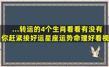 ...转运的4个生肖,看看有没有你,赶紧接好运,星座运势,命理,好看视频