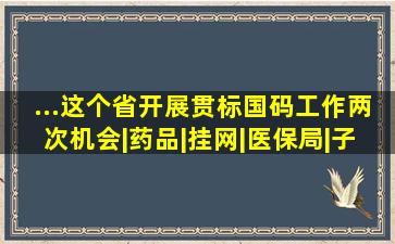 ...这个省开展贯标国码工作,两次机会|药品|挂网|医保局|子系统