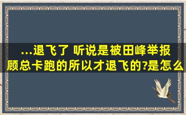 ...退飞了, 听说是被田峰举报顾总卡跑的,所以才退飞的?是怎么回事的呢,