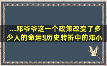 ...邓爷爷这一个政策,改变了多少人的命运!|历史转折中的邓小平|...