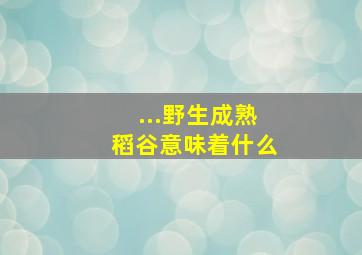 ...野生成熟稻谷意味着什么