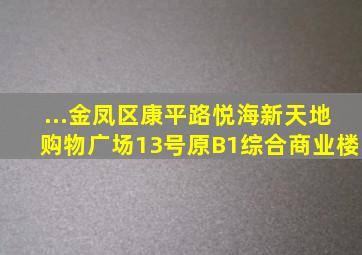 ...金凤区康平路悦海新天地购物广场13号(原B1)综合商业楼