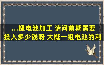 ...锂电池加工 请问前期需要投入多少钱呀 大概一组电池的利润是多少呀