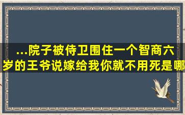 ...院子被侍卫围住一个智商六岁的王爷说嫁给我你就不用死是哪本小说