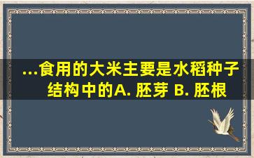 ...食用的大米主要是水稻种子结构中的( ) A. 胚芽 B. 胚根 C. 子叶 D. 胚乳