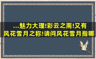 ...魅力大理!彩云之南!又有风花雪月之称!请问风花雪月指哪=几=个地方?