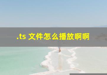 .ts 文件怎么播放啊啊