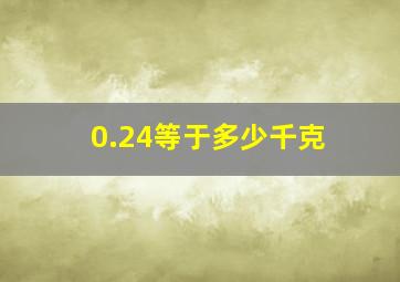 0.24等于多少千克