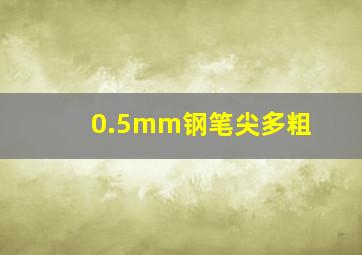 0.5mm钢笔尖多粗