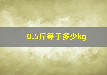 0.5斤等于多少kg