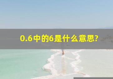 0.6中的6是什么意思?