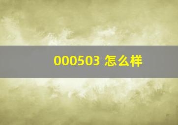 000503 怎么样