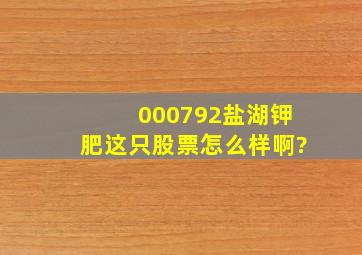 000792盐湖钾肥这只股票怎么样啊?