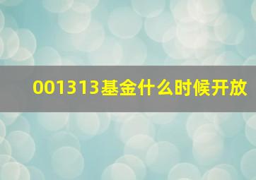 001313基金什么时候开放