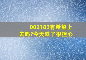 002183有希望上去吗?今天跌了很担心